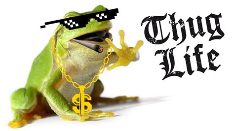 ma grenouille roger le thug youtube