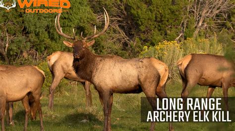 Long Range Archery Elk Kill Wired Outdoors