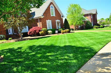 What Type Of Lawn Do You Have Just Lawnmowers Blog