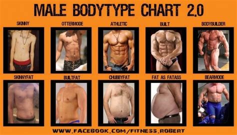 Male Bodytype Chart 2 0 Healthy Fitness Athletic Bulk Skinny Project Next Bodybuilding