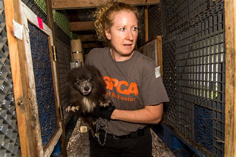 Aspca Helps To Rescue More Than 100 Dogs From Fl Puppy Mill Aspca