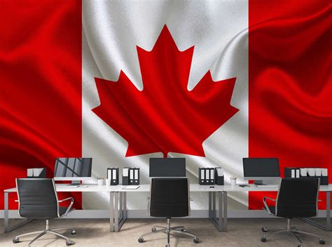 With each transaction 100% verified and the largest inventory of tickets on the web, seatgeek is the safe choice for tickets on the web. Murale en Papier Peint Drapeau Canadien | Muralunique