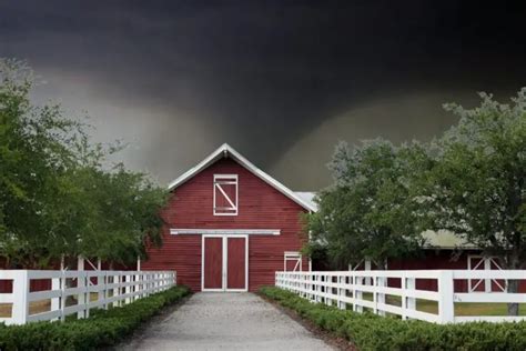 What Is A Horse Tornado Shelter And Do You Need One Best Horse Rider