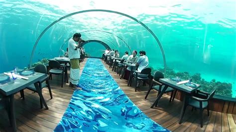 360 Video Hurawalhi Maldives Underwater Restaurant Youtube