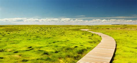 Free Images Landscape Path Pathway Horizon Marsh Wilderness