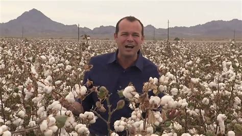 California Cotton Harvest Youtube