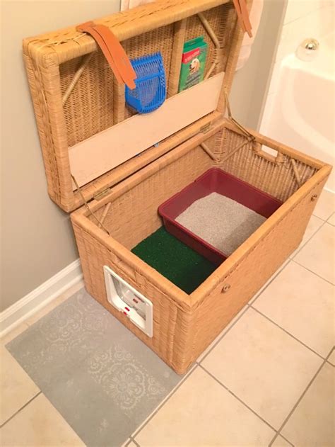 8 Creative Ways To Hide Your Cats Litter Box Healthy Paws