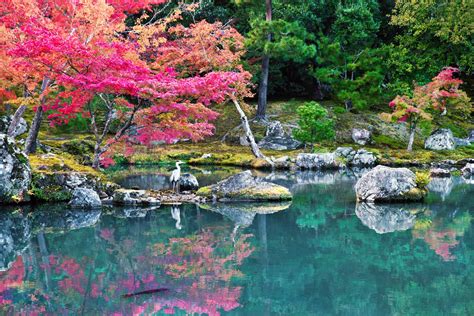 Colourful Zen Garden Victoria Knobloch ~ Dreams In Time