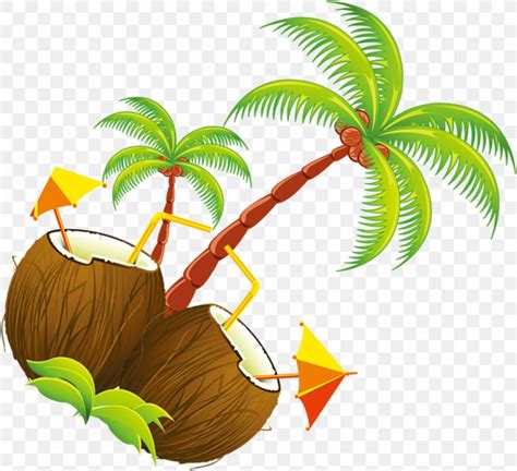Coconut Tree Cartoon Png 1316x1201px Coconut Animation Arecales