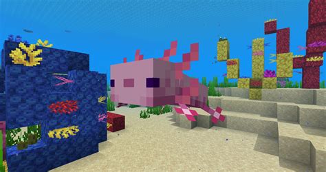 What Do Axolotls Eat Minecraft Dowta