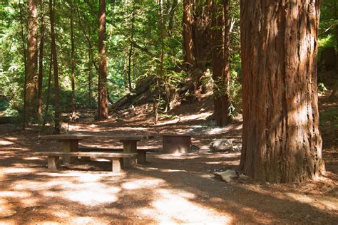 Mejores Campamentos De Big Sur