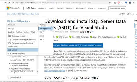 Ssis Visual Studio