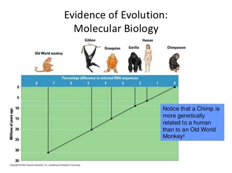 Molecular Biology And Evolution List Of High Impact