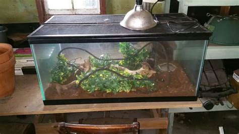 50 Gallon Turtle Tank Tetra 75 Gallon Locking Reptile Vivarium Review