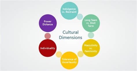 Hofstede Cultural Dimensions Book