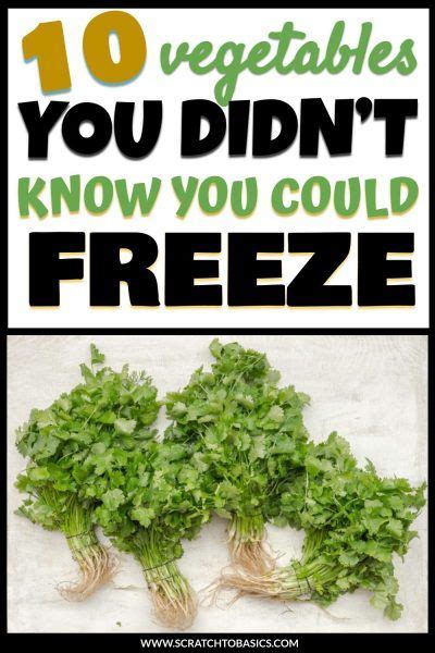 10 Surprising Vegetables You Can Freeze For Later Freezing Vegetables
