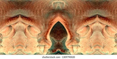 Sex Pussy Vulva Clitoris Vagina Orgasm Stockfoto 1309790020 Shutterstock
