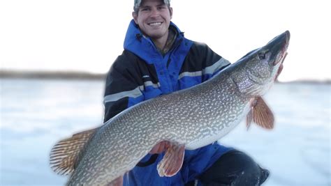 The 5 Biggest Ice Fishing Catches In Recent History Outdoorhub