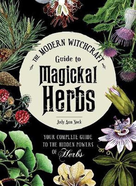 Modern Witchcraft Guide To Magickal Herbs By Judy Ann Nock Hardcover