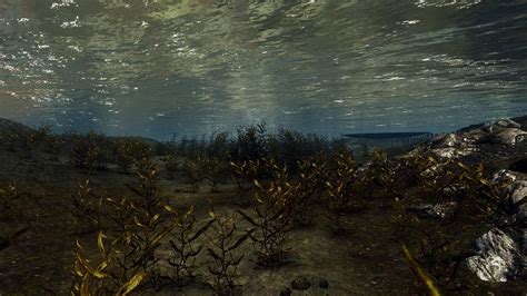 Clear Water At Skyrim Nexus Mods And Community