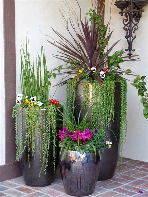 Garden Planters For Front Porch Potted Plants Outdoor Plants Plant