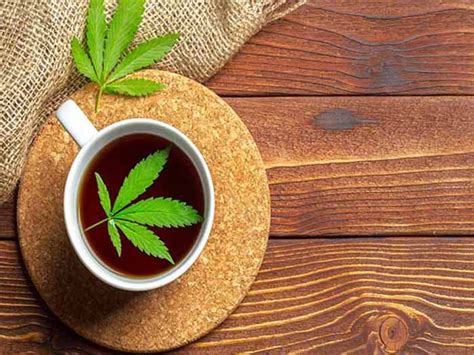 How To Make Cannabis Tea Best Recipes Organic Facts