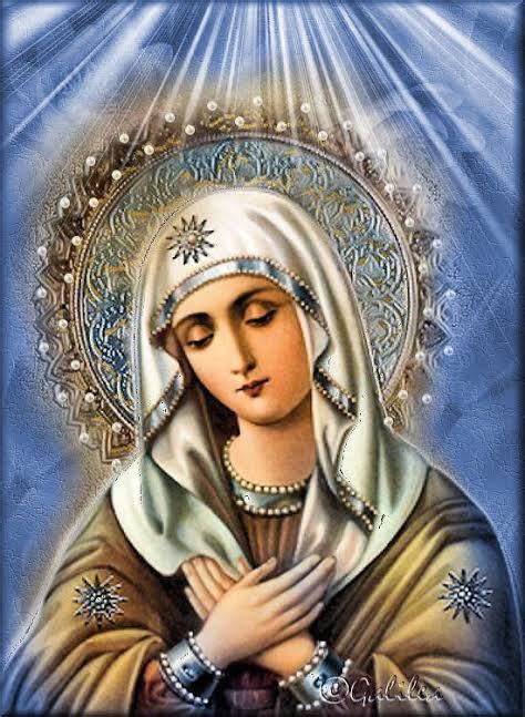 María Madre De Misericordia Fatimazo Por La Paz