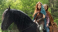 Películas y series de caballos que ver en Netflix | My Horseback View