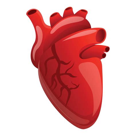 Icono Del Corazón Humano Del Cuerpo Estilo De Dibujos Animados
