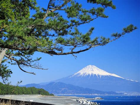 Captivating Views Of Mt Fuji And More In Shizuoka Nihondaira And Miho