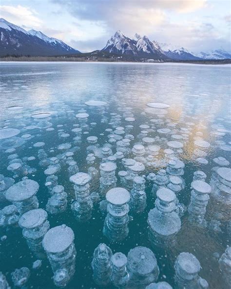 Trapped Bubbles Under The Ice Abraham Lake Alberta Canada Jon