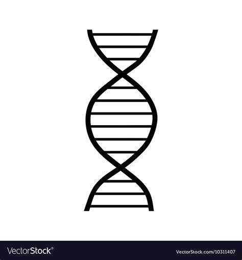 Dna Strand Icon Simple Style Royalty Free Vector Image