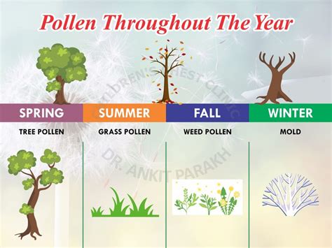 Pollen Allergy Causes Symptoms And Treatment Dr Ankit Parakh