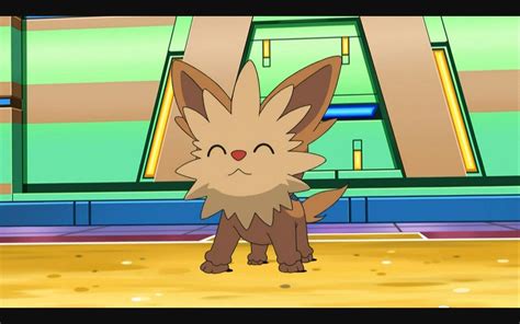 Wolfs Top Ten Cute Pokemon 3 Number 5 Lillipup Wattpad