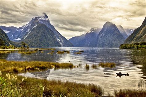 Milford Sound New Zealand Pond Mountain Landscape Wallpaper 3000x2000
