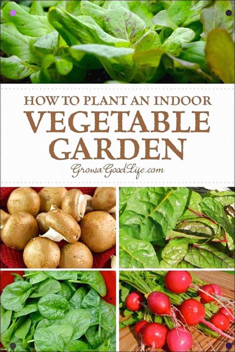 How To Plant An Indoor Vegetable Garden Growing Herbs And Vegetables Indoors Is A Great W