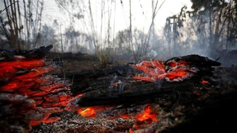 President Jair Bolsonaro Limits Ban On Land Clearing Fires In Brazil To