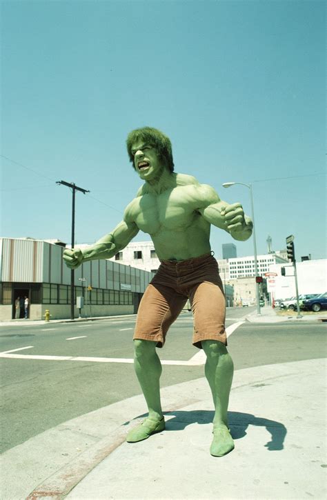 The Incredible Hulk Tv Series