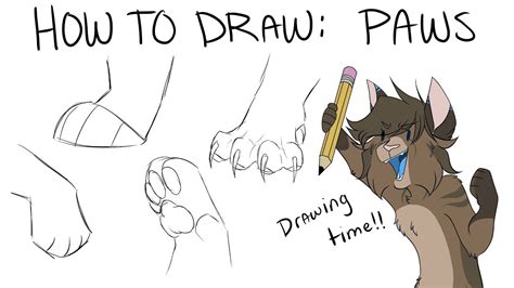 How To Draw Paws Youtube