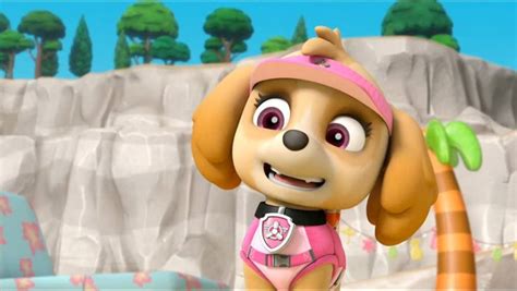 Skye Paw Patrol Foto 40748480 Fanpop