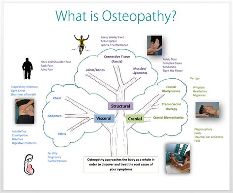 What Is Osteopathy Exactly