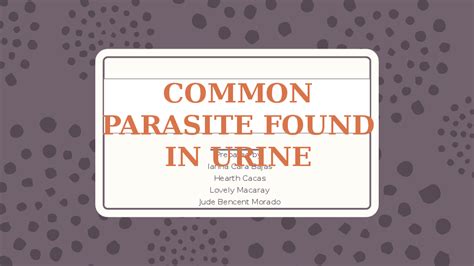 Ppt Common Parasite Found In Urine Sidney Arias