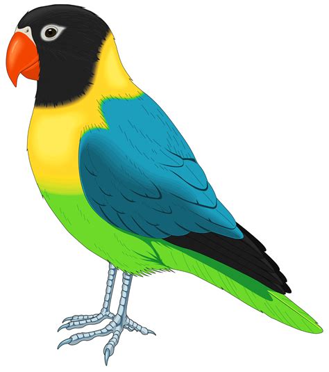 Bird Png Transparent Image Download Size 2725x3081px