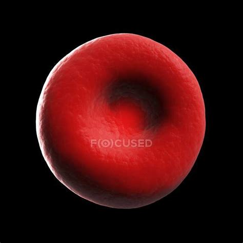 Normal Human Red Blood Cell — Computer Human Physiology Stock Photo
