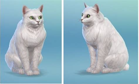 Sims 4 Kitties Neko Atsume™️ Amino