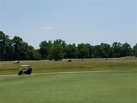 Great Day On The Links Review Of Cottonwood Golf Club Montgomery