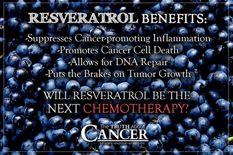 6 Ways Resveratrol Supplements Help Prevent Cancer