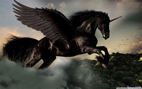 Black Pegasus Wallpapers Top Free Black Pegasus Backgrounds