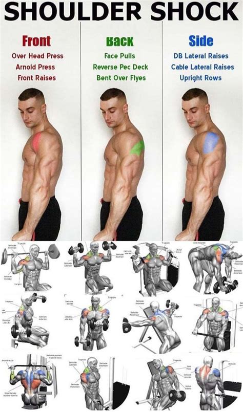 Gym Workout Chart Body Workout Plan Gym Workout Videos Biceps