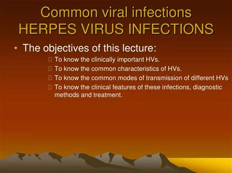 Ppt Common Viral Infections Herpes Virus Infections Powerpoint
